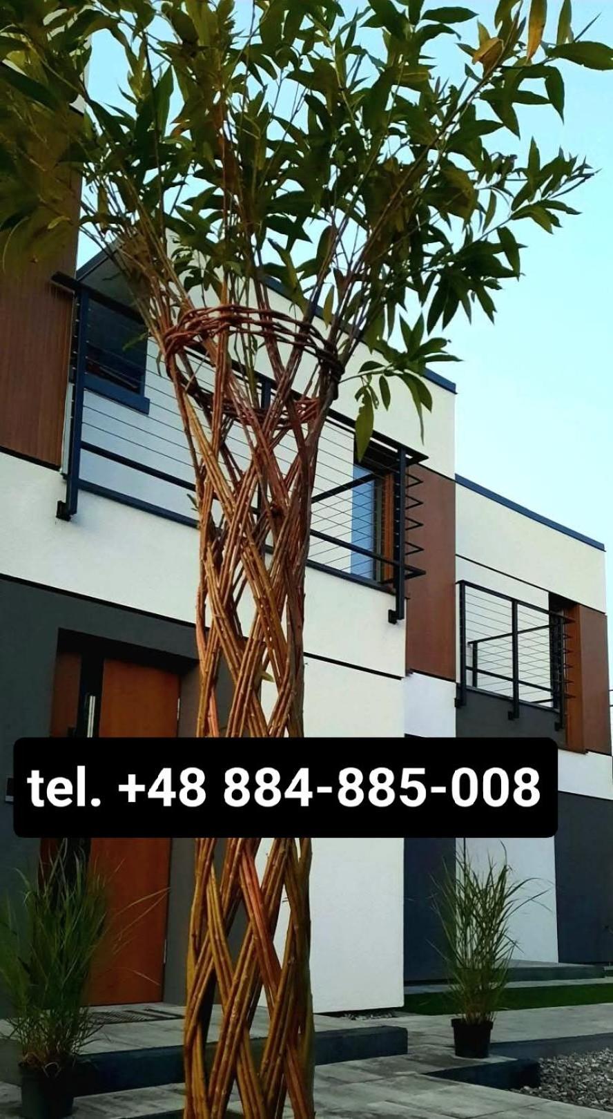 Zlote Sady Na Mazurach Z Widokiem Na Jezioro Apartment